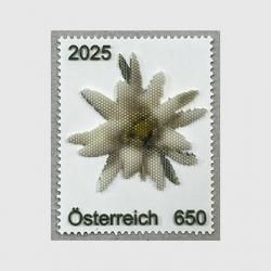 ȥꥢ 2025ǯǥ磻3Dץȡ<img class='new_mark_img2' src='https://img.shop-pro.jp/img/new/icons5.gif' style='border:none;display:inline;margin:0px;padding:0px;width:auto;' />