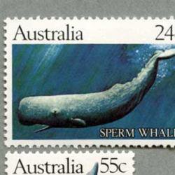 オーストラリア 1982年鯨4種 - 日本切手・外国切手の販売・趣味の切手