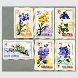 롼ޥ˥ 1967ǯѥ̮β֣<img class='new_mark_img2' src='https://img.shop-pro.jp/img/new/icons57.gif' style='border:none;display:inline;margin:0px;padding:0px;width:auto;' />