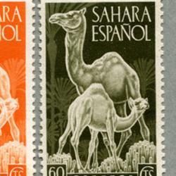 スペイン領サハラ 1957年ガゼルなど6種 - 日本切手・外国切手の