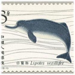 中国 1980年揚子江イルカ2種