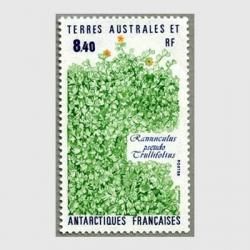 ʩ 1990ǯRanunculus pseudo trullifolius