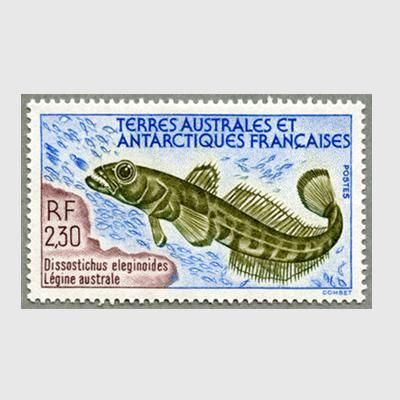 仏領南方南極地方 1992年マゼランアイナメ 日本切手 外国切手の販売 趣味の切手専門店マルメイト