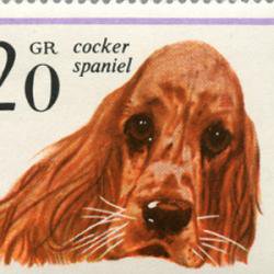ポーランド 1963年犬9種 - 日本切手・外国切手の販売・趣味の切手専門 