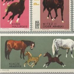 ポーランド 1963年馬10種 - 日本切手・外国切手の販売・趣味の