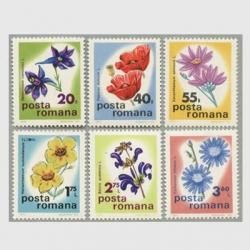 롼ޥ˥ 1975ǯ6<img class='new_mark_img2' src='https://img.shop-pro.jp/img/new/icons57.gif' style='border:none;display:inline;margin:0px;padding:0px;width:auto;' />