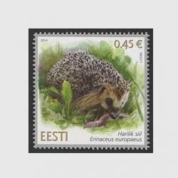 ȥ˥ 2014ǯϥͥ<img class='new_mark_img2' src='https://img.shop-pro.jp/img/new/icons57.gif' style='border:none;display:inline;margin:0px;padding:0px;width:auto;' />