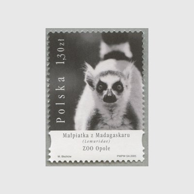 ポーランド 05年 ベローシフォカ マダガスカルの横とびサル 日本切手 外国切手の販売 趣味の切手専門店マルメイト