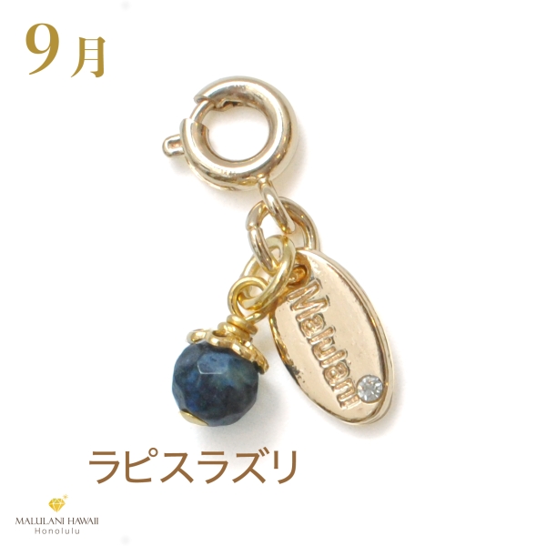 誕生石チャーム - ハワイ発のパワーストーンブランド MALULANI 誕生石チャーム - ハワイ発のパワーストーンブランド MALULANI