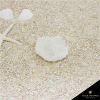 <img class='new_mark_img1' src='https://img.shop-pro.jp/img/new/icons14.gif' style='border:none;display:inline;margin:0px;padding:0px;width:auto;' />��1���¤�ۡɸ��ο徽�ɥȥޥ����󥵥������饹��������84