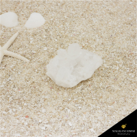 <img class='new_mark_img1' src='https://img.shop-pro.jp/img/new/icons14.gif' style='border:none;display:inline;margin:0px;padding:0px;width:auto;' />��1���¤�ۡɸ��ο徽�ɥȥޥ����󥵥������饹��������85