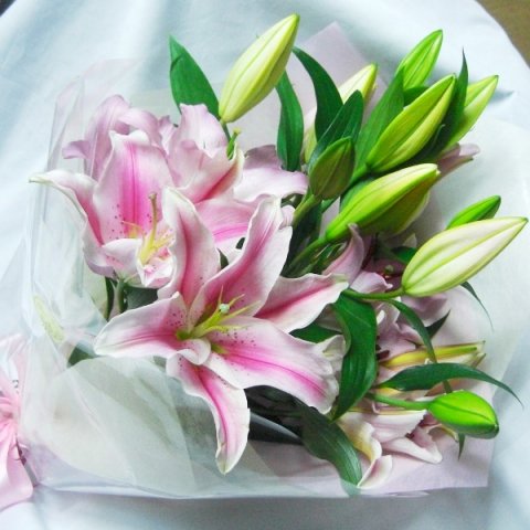大輪ピンクのオリエンタル百合５本の花束