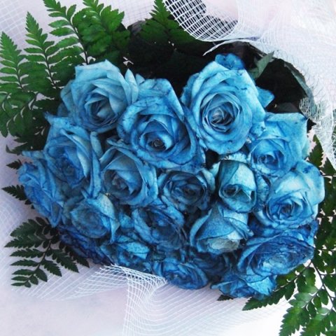 サプライズの青いバラの花束
