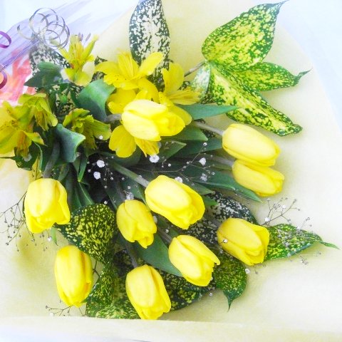 黄色いチューリップ10本の花束 - プリザーブドフラワーと誕生日