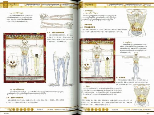 チベット医学 四部医典医学タンカ詳解（全6巻）（お取り寄せ） - カワチェンネットショップ