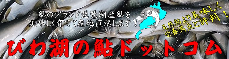 美味しい鮎のお取り寄せ通販サイト びわ湖の鮎ドットコム