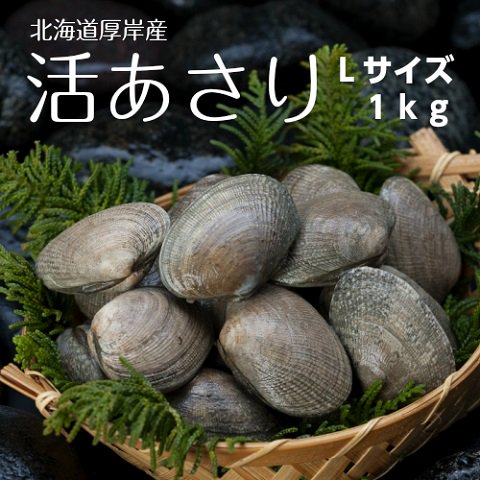 【砂抜き済み】　手掘り　島あさり　（Ｌサイズ） 1kg　