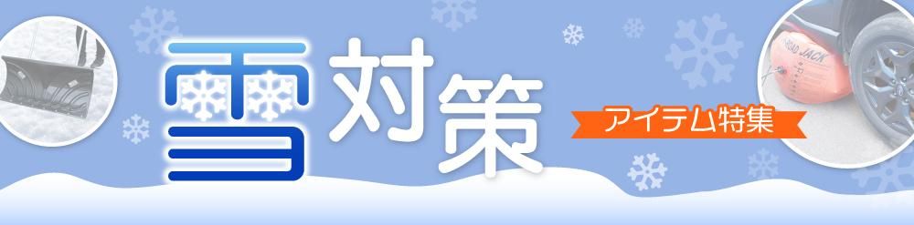 雪対策