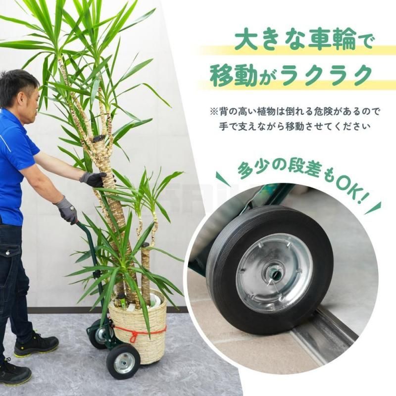 salut!ブリキバギー 四輪手押し車インテリアガーデニング