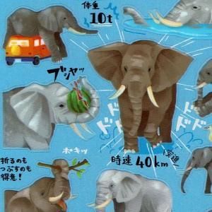 めざせキング オレたち最強ズ シール アフリカゾウ めざせキング オレたち最強ズ シール アフリカゾウ