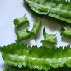 沖縄健康野菜 - 沖縄野菜、フルーツ、アロエベラ、ローゼル、ノニ果汁