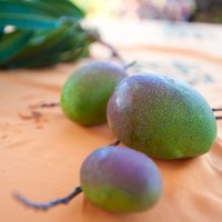 Hawaiian Mango