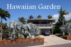Hawaiian Garden (ハワイアンガーデン)