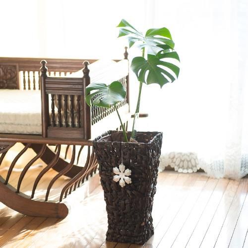 80センチ　ハワイアン　モンステラ　籠付き 80センチ ハワイアン モンステラ 籠付き ハワイアンキルト