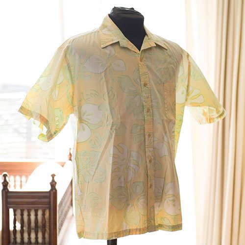 Celebrity Amplify district Vintage Aloha Shirt/ No brand ライトイエローｘライトグリーン Mサイズ -  ハワイアン雑貨、プルメリアやハワイ植物の通販専門店 | Lani Hawaii（ラニハワイ）