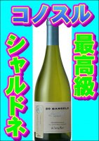 コノスル シャルドネ 20バレル リミテッド・エディション 2021 | チリの美味しい白ワイン - コノスル・サルダカヴァ等激安ワインの専門店 |  ヤマノヤオンライン