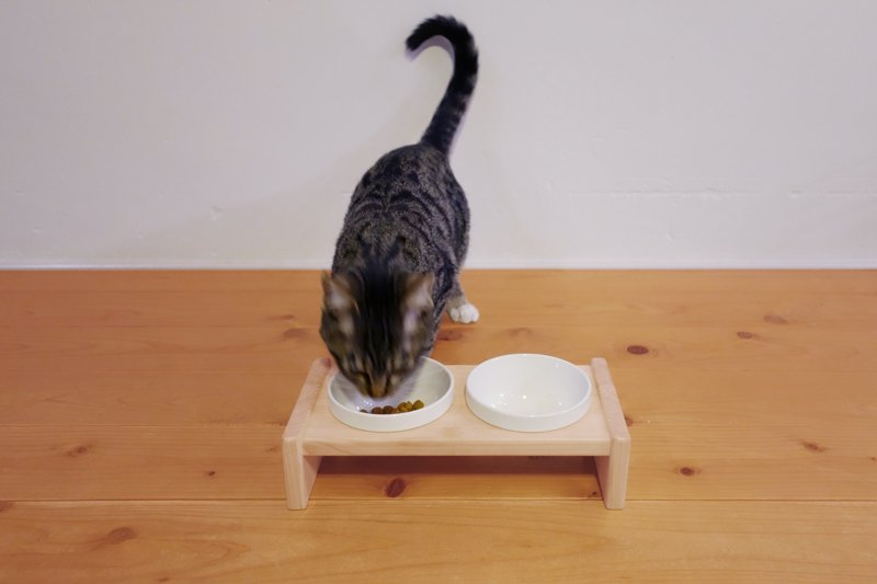 ねこのごはん台を使って食事をしている猫の正面画像［小］
