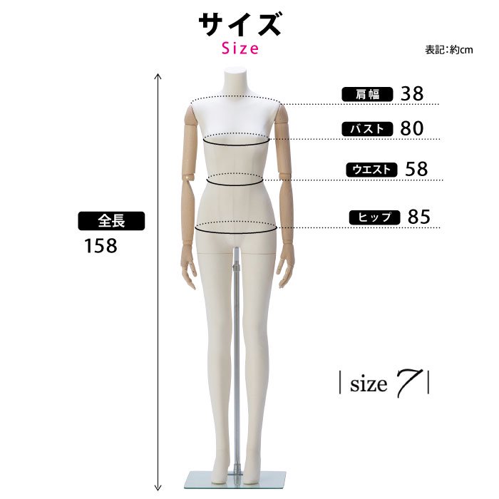 法人限定】全身マネキン ファブリックトルソー レディース 7号 ヘッド