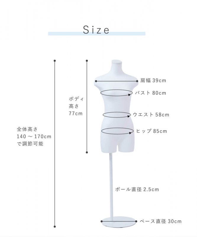 レディースボディ 腕なし 9号 DIS-1771 | マネキン・トルソーの通信販売 | ディスプラン