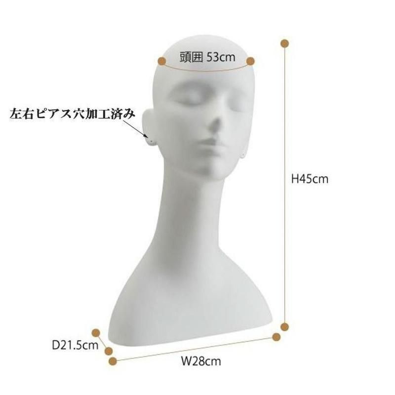 マネキンヘッド HD-20 | マネキン・トルソーの通信販売 | ディスプラン