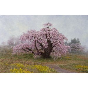 金子東日和 「朝の滝桜（福島県三春町）」 油彩P6号