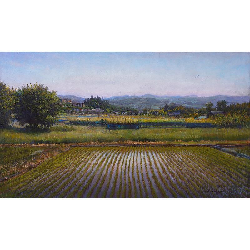46×53㎝「田植え前の水田」油彩・原画・F10