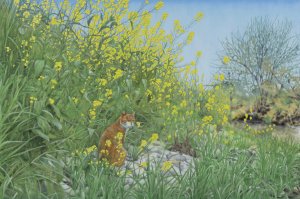 伊土晋平「黄色い猫と花」日本画M30号