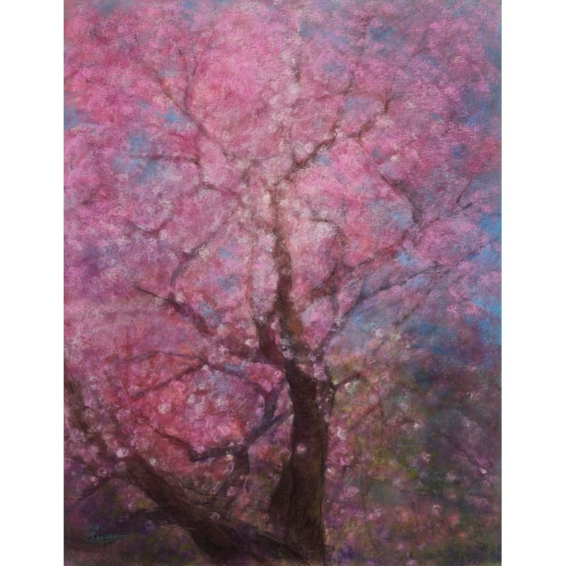 土井ふみ子 「桜」 パステル10号大（53×41cm） 額付き - 一枚の繪オンラインショップ