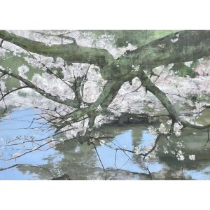 米村美真代 「桜」 油彩100号 額付き