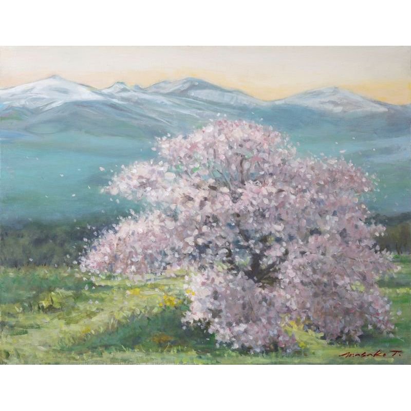 田所雅子 「茶園の桜」 油彩Ｐ10号 