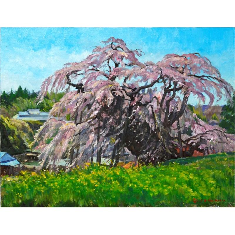 姫野裕一 「三春の滝桜」 油彩６号 - 一枚の繪オンラインショップ
