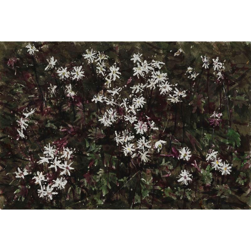 水彩画 - 一枚の繪オンラインショップ