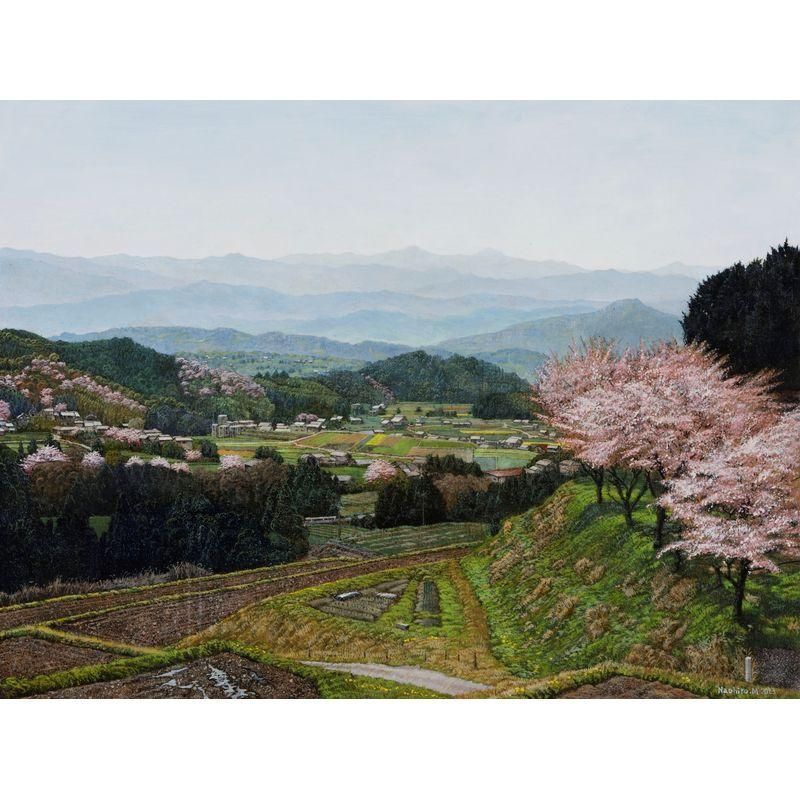 ron | 孤高の桜 in 岐阜根尾谷淡墨桜 2025/04/05撮影【岐阜県