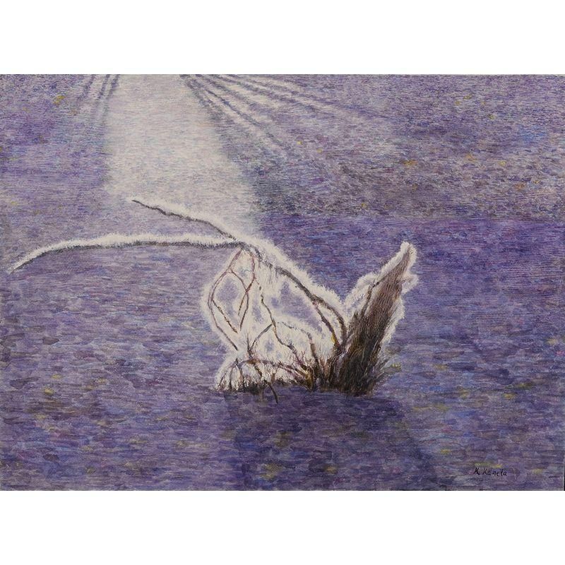 ���ľ�§ ��ī�� ���20�����53.0��72.4cm��