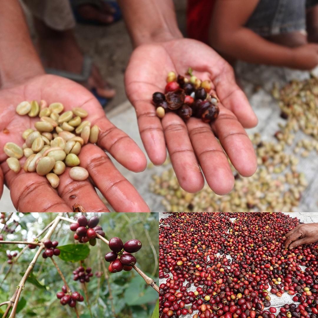 ɥͥ ե쥹 ⸶ ǥΥҡ