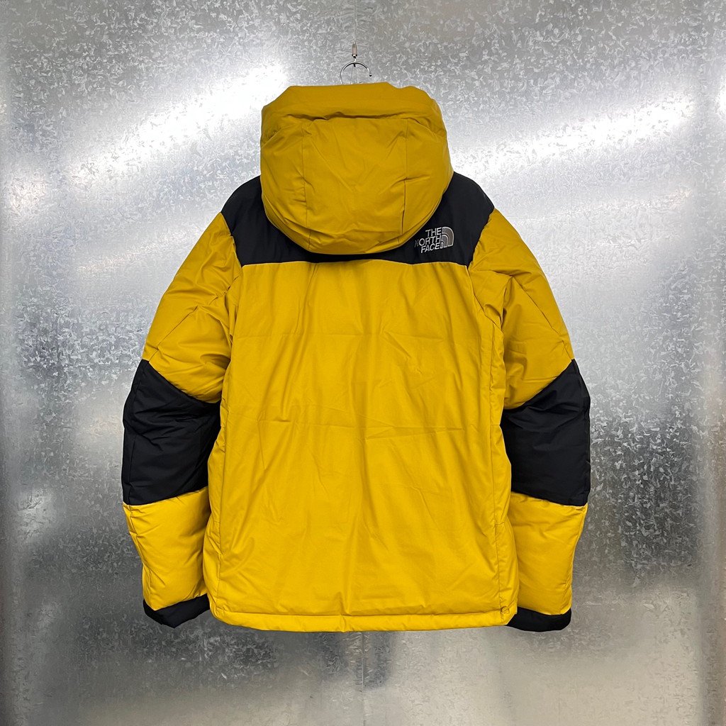 the north face nd91950 baltro light jacket