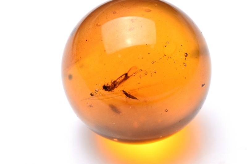 トップス 67709 虹入り 虫入り アンバー 琥珀 41mm×23mm 1個売り ルース