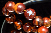 ڣʪ۹Ƥ ܥѡ롡9.5mm֥쥹å _M10052