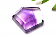ڣʪ۴ɻ ȥԥå᥸ȡ19x19mm 饤 롼 _PC2613