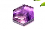 ڣʪ۴ɻ ȥԥå᥸ȡ21x19mm 饤 롼 _PC2615